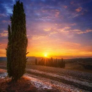 دانلود آهنگ مهراب نقش اول